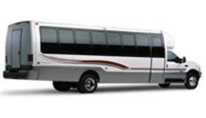 Mini Coach